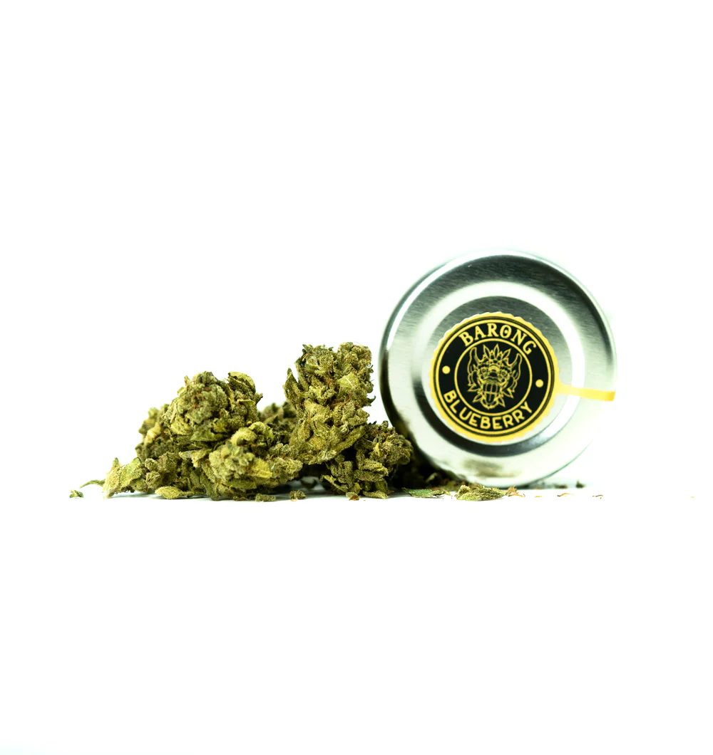 Blueberry CBD 🟣🍬 - Image 3